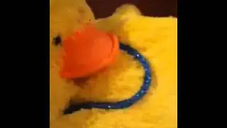 Quckers-goal