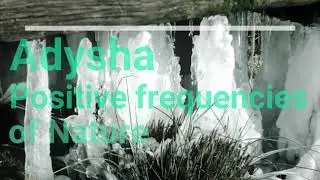 Positive frequencies of Nature