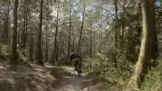 Mishmar Forest Chased by Drone