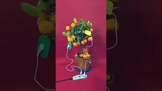 Plant Controlled Ambient Electronica with #Playtronica Biotron #experimentalmusic #experimental