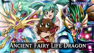 Ancient Fairy Life Dragon Deck |Yu-Gi-Oh! Master Duel