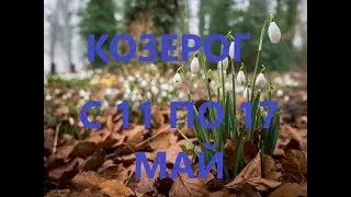 КОЗЕРОГ.ТАРО ПРОГНОЗ НА НЕДЕЛЮ  С 11 ПО 17 МАЯ 2020.