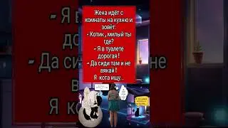 Милый ты где?(анекдот)