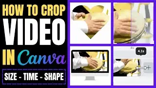 How to crop video in Canva | Easy and Quick Results!