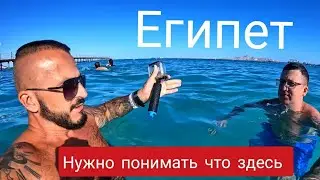 Египет🇪🇬 Какое здесь море Albatros Laguna Club Resort и Albatros Laguna Vista Beach Resort