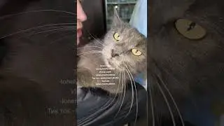 Нюма. Один из многих брошенных за время войны 