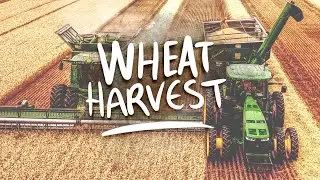 Michigan Wheat Harvest 2019 | John Deere S670 - 640FD 635F