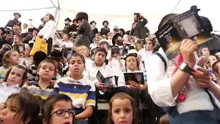 Support Tikun Olami