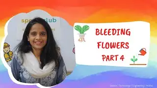 Bleeding Flowers Part 4 Explanation | DIY STEM Experiment For Kids