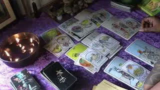 Aquarius- An offer is coming...and so is the truth