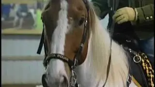 KAKE News presents:  Horse Patrol