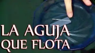 La aguja que flota│ Tensión superficial │ Experimento Fácil