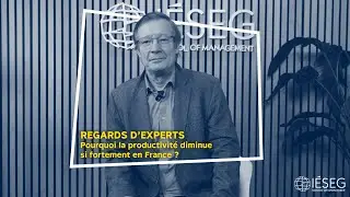 Regards d'Experts - Pourquoi la productivité diminue si fortement en France ?