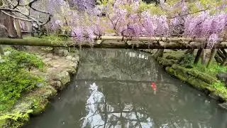 2023年4月19日