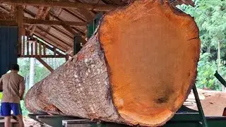 decades-old mahogany logs that are surprising when sawed at the sawmill 