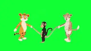 4K UHD MONKEY | CAT | TIGER | Royalty Free | Stock Footage | 