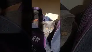 Всем привет! 🥰