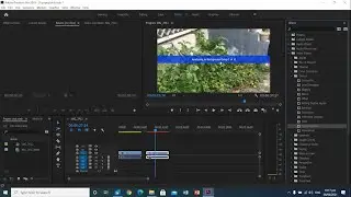 How to stabilize shaky video |Adobe Premiere Pro