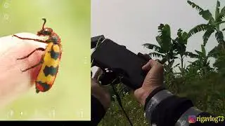 POV II HUNTING MINI YELLOW BLISTER II PHONE MACRO