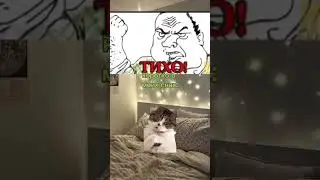 мои сны 