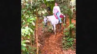 CEG CABALGATAS 2011