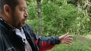 На старой дороге