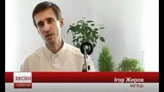 В місті відбулася виставка бонсай