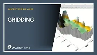 Surfer Gridding Training Video