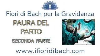 Fiori di Fach per la paura del parto - seconda parte
