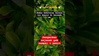 dengarkan surah ini sebentar saja