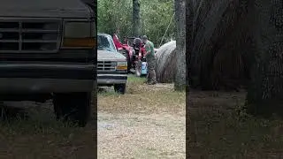 Fighting Yellow Jackets