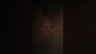 Идём с моей куклой L.O.L В бумажный магазин