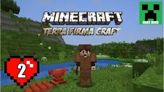 TerraFirmaCraft S2 (#2)- Homeless and Rich