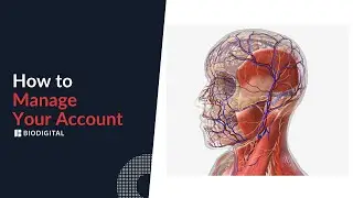How to Manage Your Account