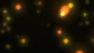 Amazing Noise Bokeh Full Blur Lights Background Stock Video Overlays