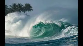 Healing by the ocean