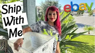 Shipping My eBay Sales