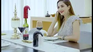 Electric Wine Aerator Pourer, Portable One-Touch Wine Decanter and Wine Dispenser Pump for Red Wine