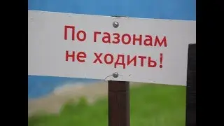 Техник - Механик