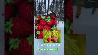 Скоро весна а это значит…