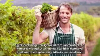 Dr Green termékcsalád