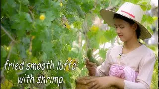 Fried smooth luffa with shrimp | Daily clips