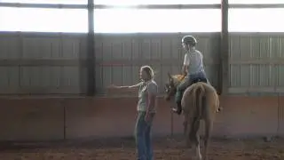 Horses and Alzheimer's
