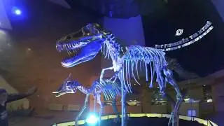 Shymkent Adventure промо ролик канала