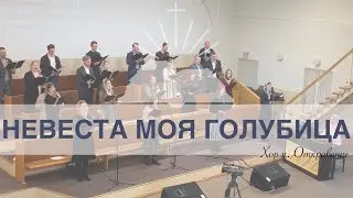 ''Невеста Моя, Голубица (О, Слушай, Народ Мой)''- Хоровое Пение