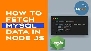 How to Fetch MySQL Data in Node JS