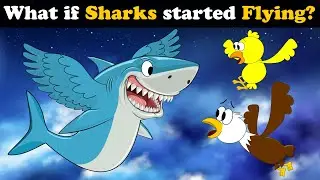 What if Sharks started Flying? + more videos | 