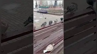 Сыктывкар 28.05.24