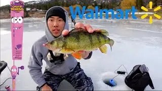Walmart Urban Ice Fishing Challenge! (Perch and Bass) Shannon Lake