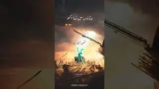 Hussain (a,s) Akela Hai #nadeemsarwar | Status |